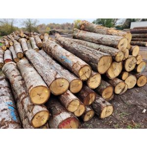 White Oak Logs